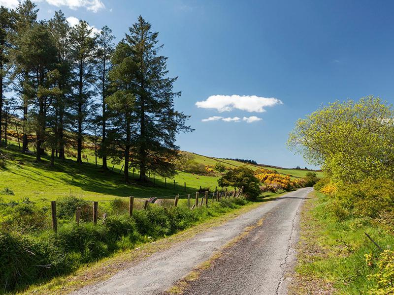 Curradoon House Villa Ballynamult Eksteriør bilde